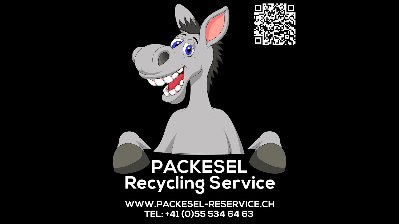 Packesel Recycling Service GmbH 3.0 Sortier-Anlage