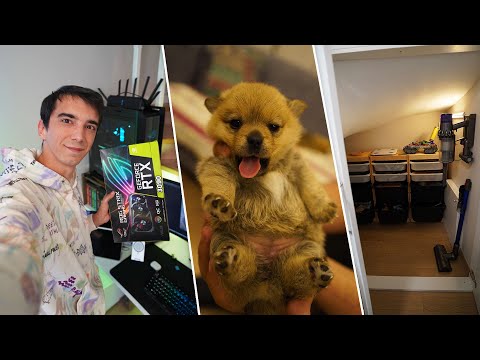 Bilgisayarları Yeniledim 110.000TL, Yavru Köpekler, Merdiven Altı Düzenleme! (Haftalık Vlog)