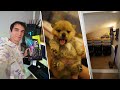 Bilgisayarları Yeniledim 110.000TL, Yavru Köpekler, Merdiven Altı Düzenleme! (Haftalık Vlog)