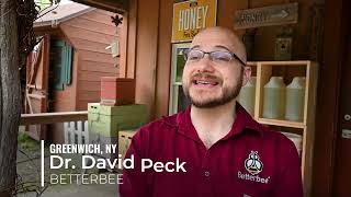 From Plant to Pantry: Bees and Honey in Washington County, NY