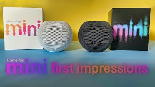 HomePod mini First Impressions by Geek Home Living 1,007 views 3 years ago 5 minutes, 11 seconds