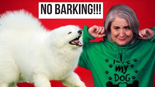 Stop Barking For Attention by Yeti’s Place 2,068 views 1 year ago 4 minutes, 32 seconds