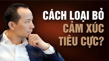 CÁCH LOẠI BỎ CẢM XÚC TIÊU CỰC | CHỮA LÀNH NỘI TÂM BẰNG NLP