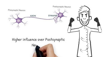 Synaptic Transmission, Chemical Or Electrical - Neuroscience