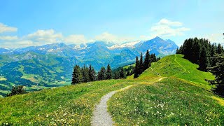 A breathtaking hike! Gstaad-Höhi Wispile- all the way to Gsteig! Switzerland!2023❤️🇨🇭