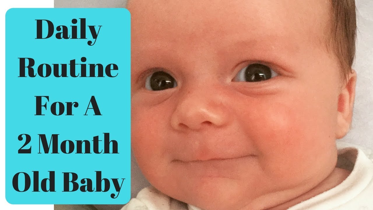 6 month old daily routine 6 month old daily routine