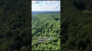 Total Length Is 650 Miles.