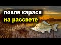 Кульса.Ловля карася весной на поплавок.Май.Full HD.