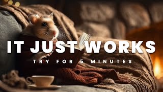 Hamster Music: Calming Piano for Your Hamster to Relax & Sleep, Anti Anxiety Sound #hamstermusic  screenshot 4