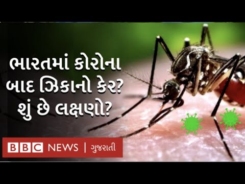 કોરોના વચ્ચે ભારતમાં Zika virus ના 15 કેસ, જાણો શું છે લક્ષણો?