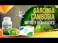 Garcinia Cambogia | Mitos y realidades