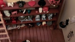 VINTAGE SHOP sul bancone in Miniatura Dollshouse 