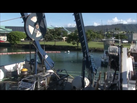 Nautilus Live | Channel 2 Stream