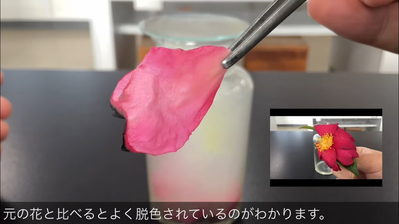 【字幕解説】硫黄に詳しくなろう