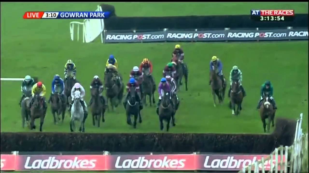 My Murphy - Goffs Thyestes Handicap Chase (grade A) - 2016