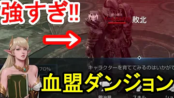 リネレボ 血盟ダンジョン ソロ リネレボ 血盟ダンジョン ソロ
