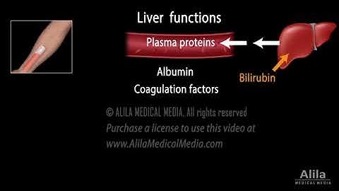 Liver Function Tests, Animation for Patients. (Ali Willie: astbewof)