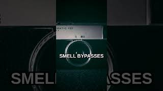 One Smell Can Unlock a Memory You Forgot