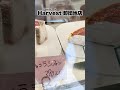 【高知朝カフェ】地元民がおすすめする高知の激うまモーニング3選!!! #高知グルメ #高知モーニング #高知旅行