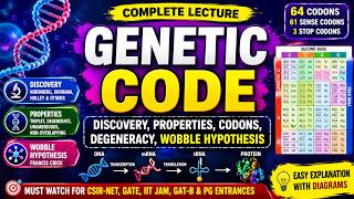 Genetic Code | Discovery, Properties, Codons, Degeneracy, Wobble Hypothesis & Complete lecture