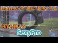 PJC2024 Phase1 Match3【PUBG】