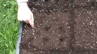 SmartGrowers  How to plant vegetable seeds in a raised bed