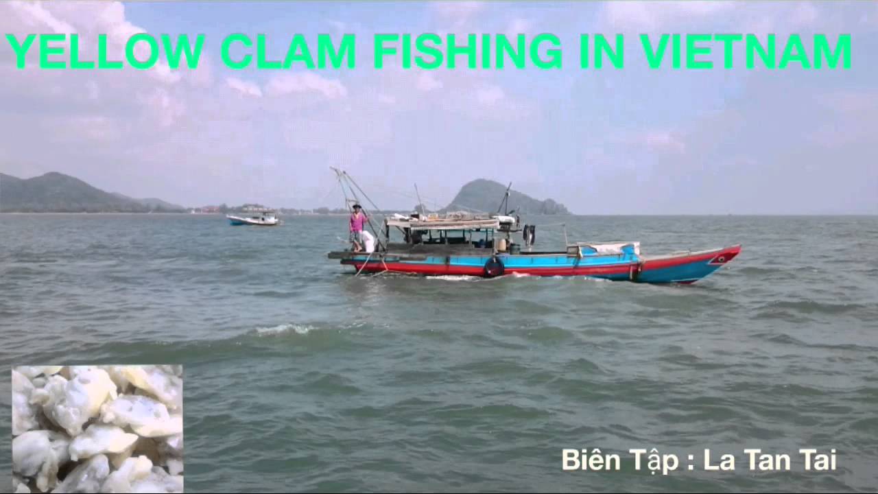 Clam Fishing YouTube