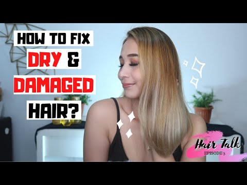 HOW TO FIX DRY AND DAMAGED HAIR  PHILIPPINES  HAIR ROUTINE FEAT  BEAVER MARULA OIL Lolly Isabel