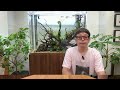 本日、公開するヤモリの動画について