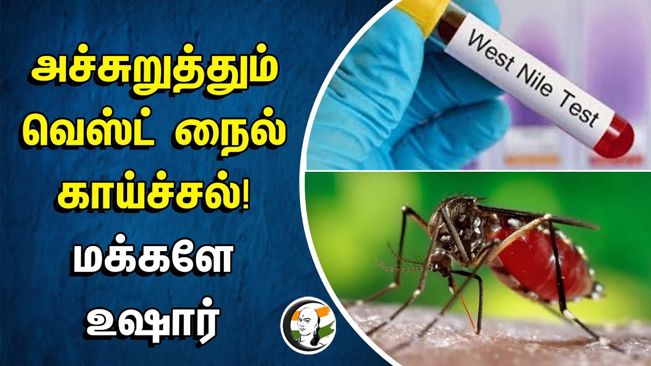 ⁣அச்சுறுத்தும் West Nile fever... மக்களே உஷார் | Kerala | Thrissur | Viral Disease