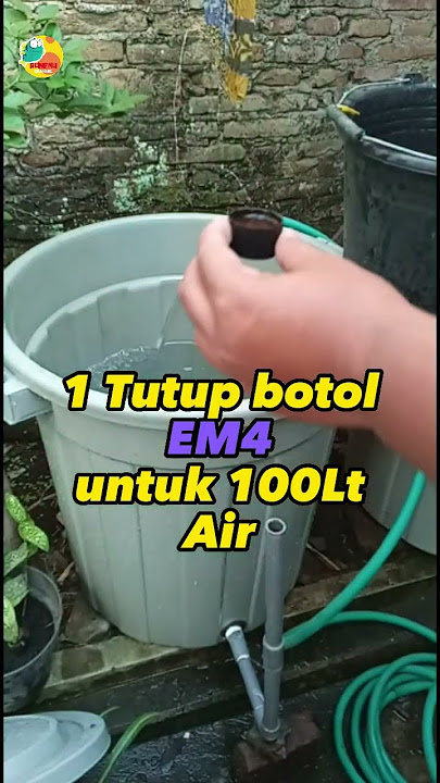 Tips kolam lele anti bau #budikdamber #em4 #lele #air #tebarbibit