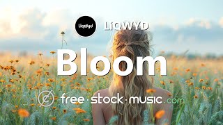 Bloom by LiQWYD [ Electronica / Tropical House / Inspirational ] | free-stock-music.com