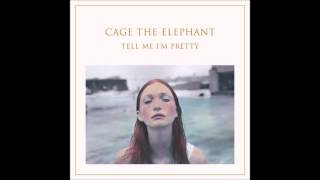 Celebrity Mess Around - Cage the Elephant Profile