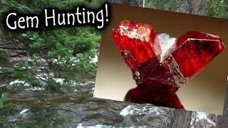 In search of a gemstone!    Gem hunting for Rhodonite.