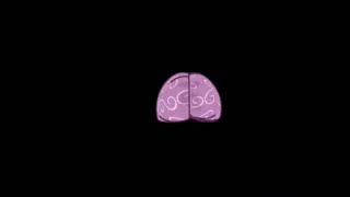Spinning Brain Loop