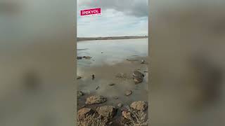 Şanlıurfa'daki yağışlar baraj ve göllere can suyu oldu!