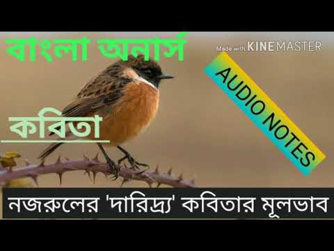 নজরুলের &rsquo;দারিদ্র্য&rsquo; কবিতার মূলভাব / audio notes