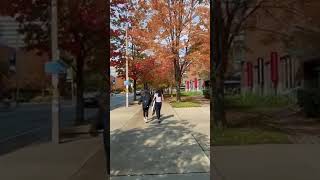多伦多大学的校园