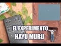 LOS SIMBOLOS SECRETOS DE ARAMU MURU/CONTACTANDO CON EXTRATERRESTRES / EL EXPERIMENTO HAYU MURU