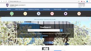 Weber Screencast LIBS 1704