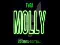 Tyga ft Wiz Khalifa, Mally Mall - Molly-Instrumental