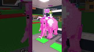 Strawberry Elephant Exist Count #stealabrainrot #brainrot #roblox