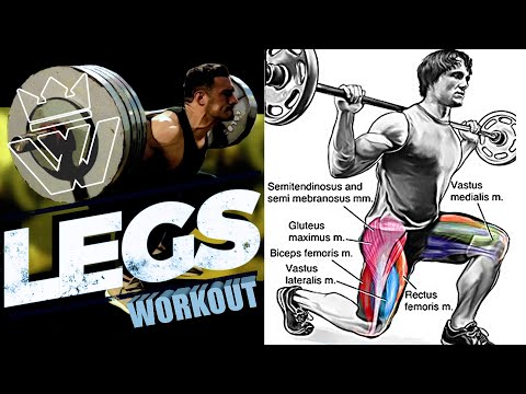 best-leg-exercises---how-to-bu