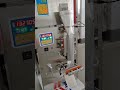 Automatic Red Date Packing Machine