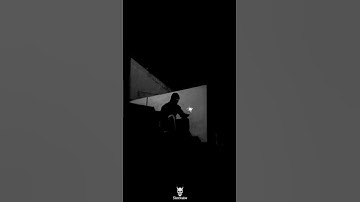 Chase your dreams. Or dream them.