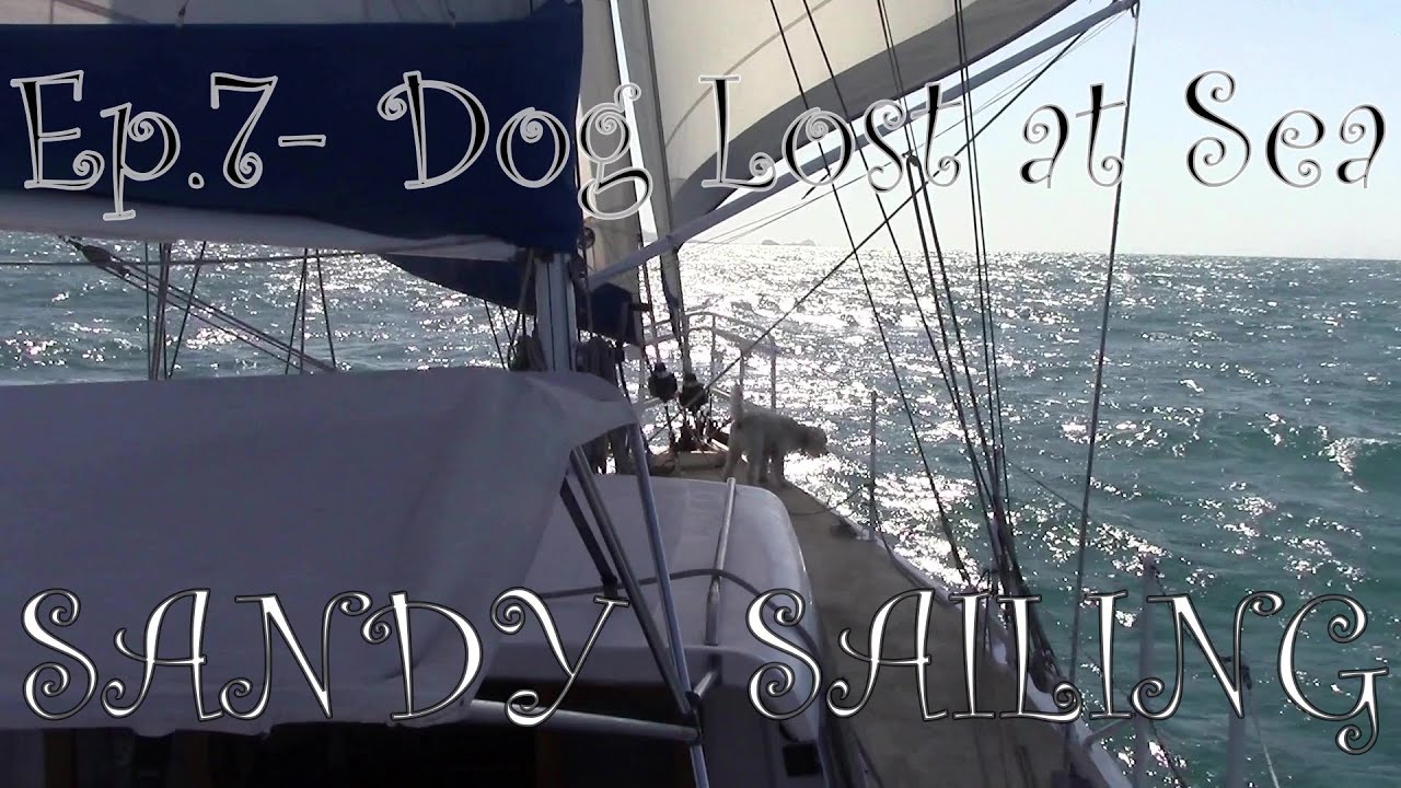 Sandy Sailing, Ep.7, Dog Lost at Sea...