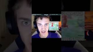 The most random video you'll ever watch...