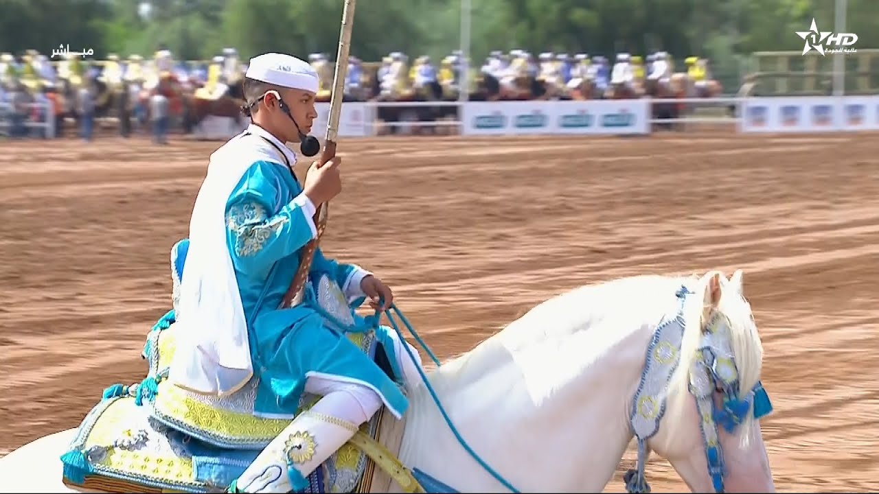 سربة المقدم محمد غرابوا يفوز 🥈 بالميدالية الفضية لجائزة الحسن الثاني ل التبوريدة دار السلام 2024 🏆