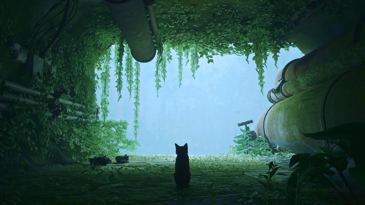 Cat Relaxation Music - Reduce Stress, Anxiety And Aggression