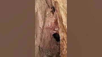 مناجم الذهب عروق الذهب الخام Gold Vein 